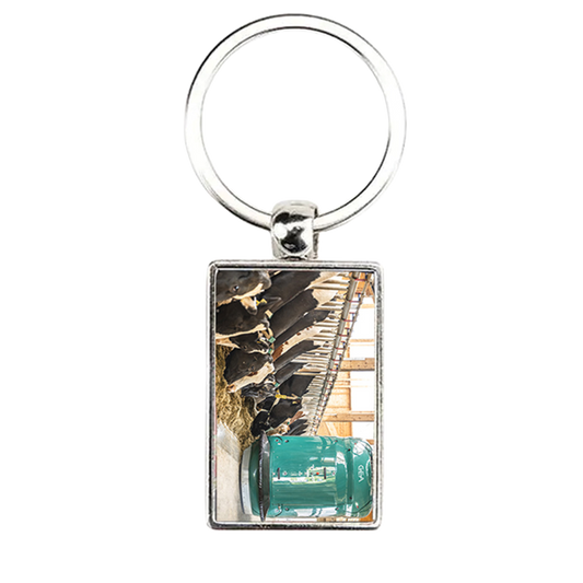 Porte clé GEA France