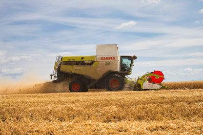 Poster métallique / Wypix