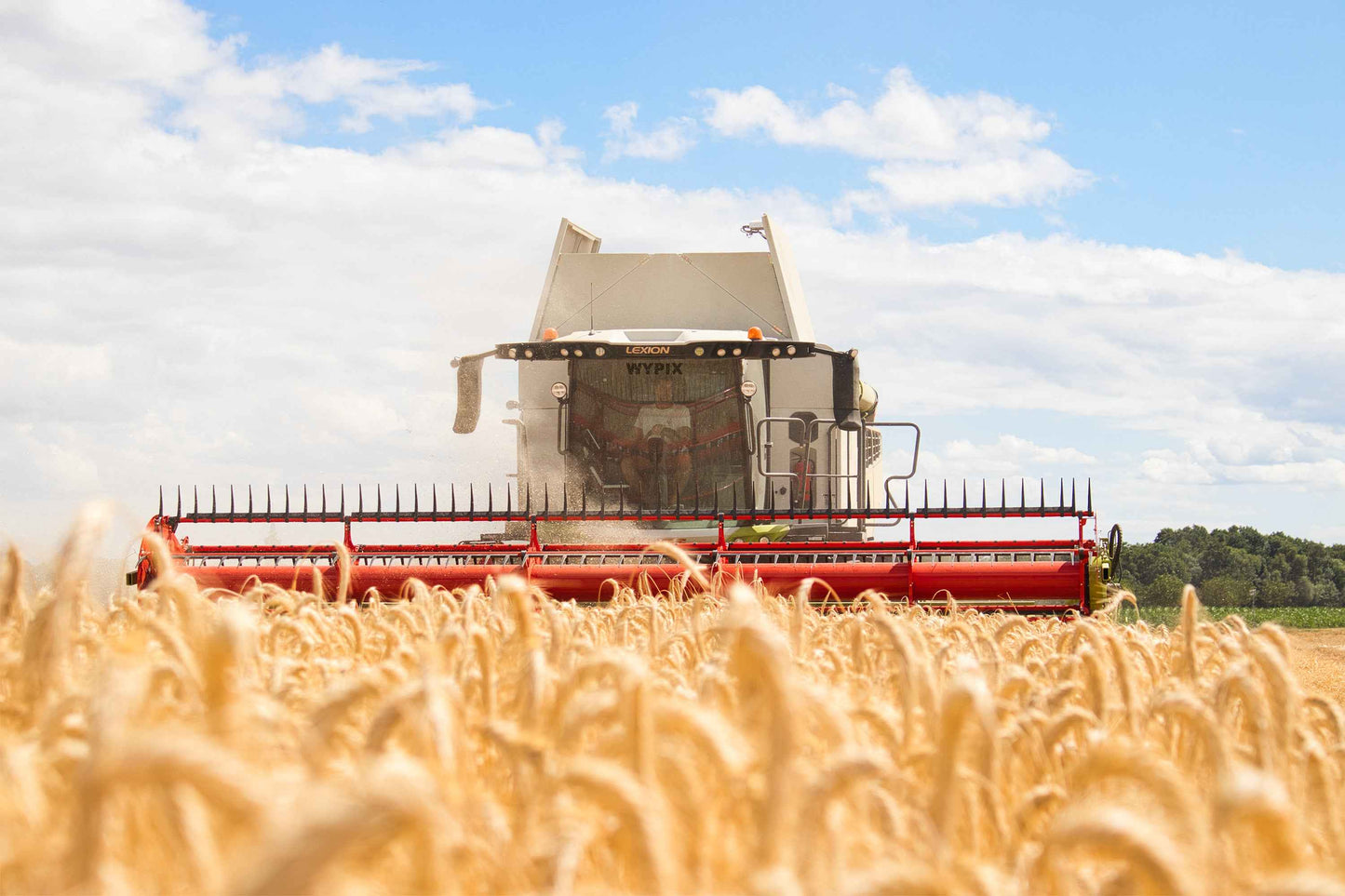 Poster métallique / Wypix