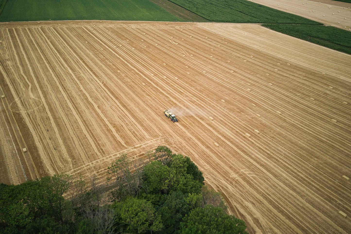 Poster métallique / Wypix