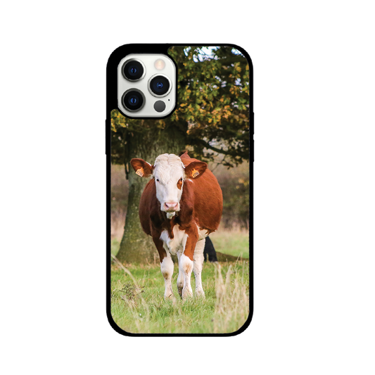 Coque Vache Laitière