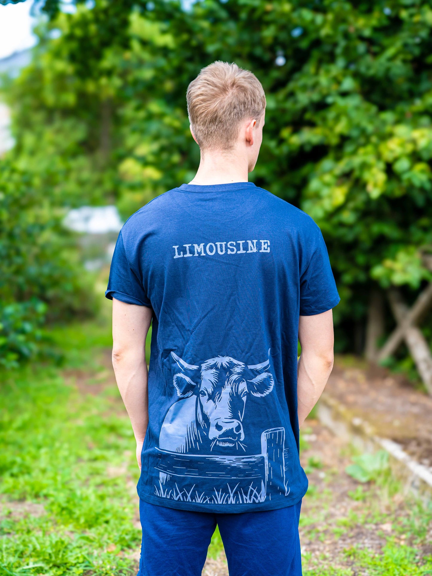 T-shirt Vache Limousine - COQ AGRI