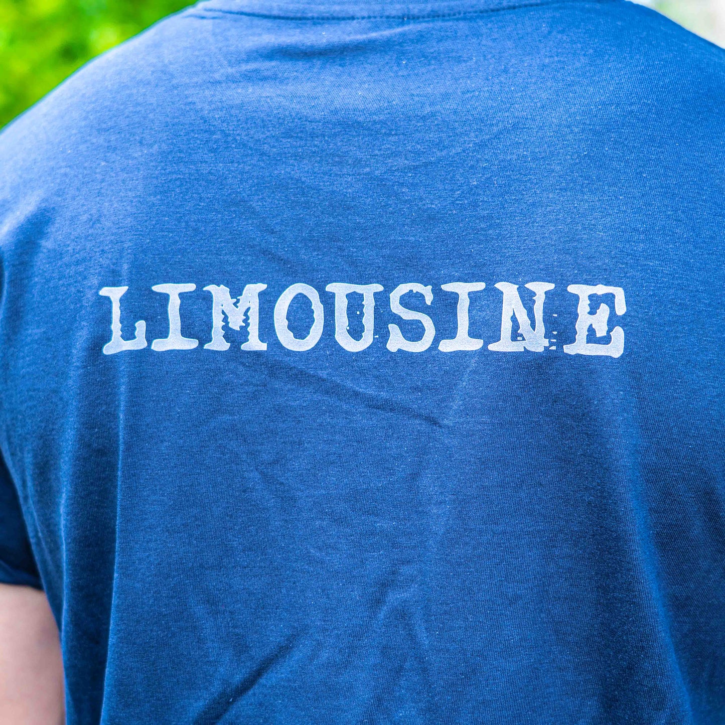 T-shirt Vache Limousine - COQ AGRI