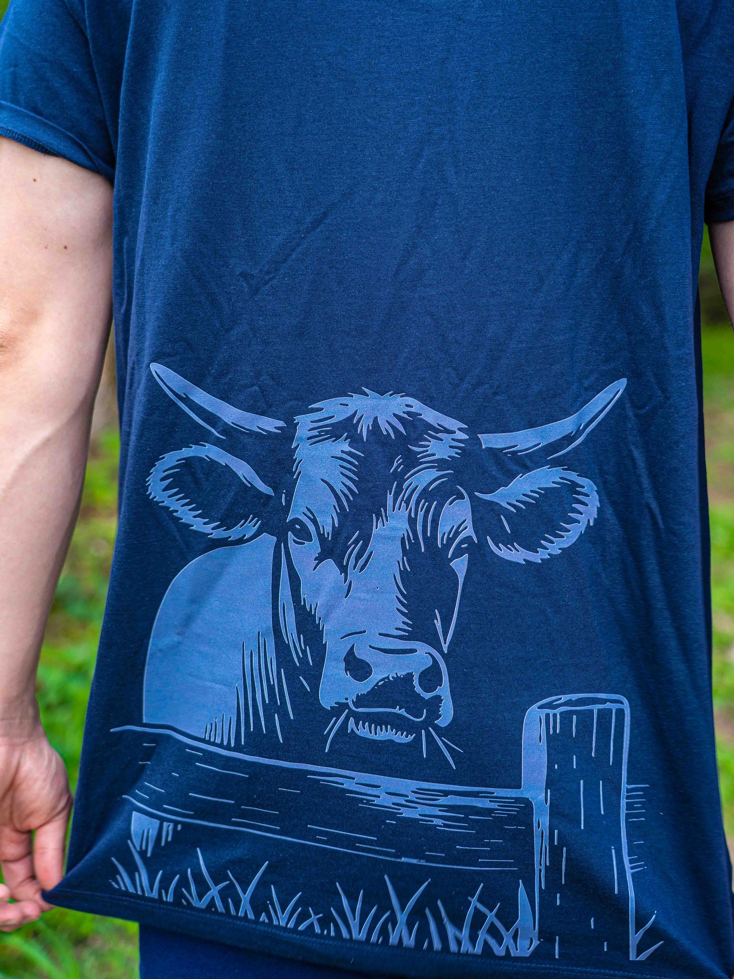 T-shirt Vache Limousine - COQ AGRI