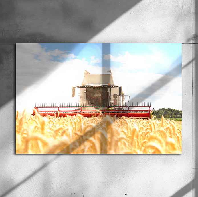 Poster métallique / Wypix