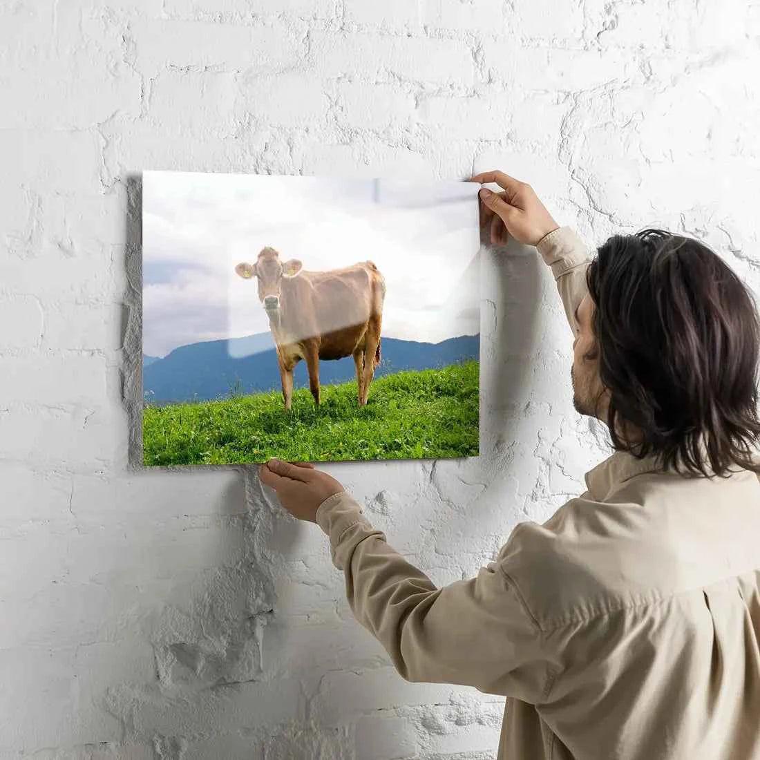Poster métallique - Vache Brunes des Alpes