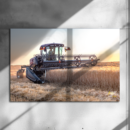 Poster métallique / AGRICOM FRANCE - COQ AGRI