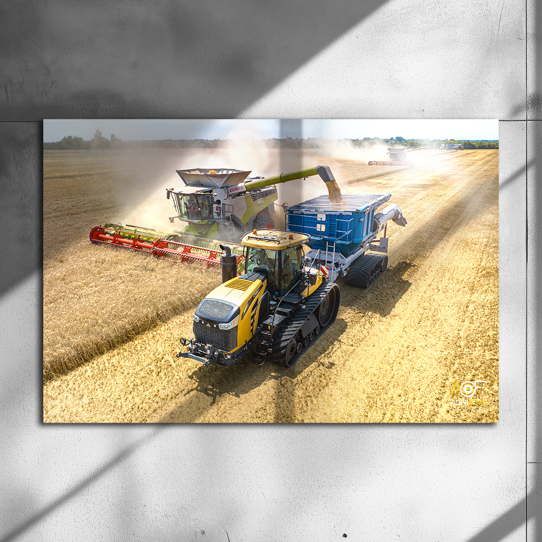 Poster métallique / AGRICOM FRANCE - COQ AGRI