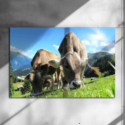 Poster Métallique Vache Brune des Alpes