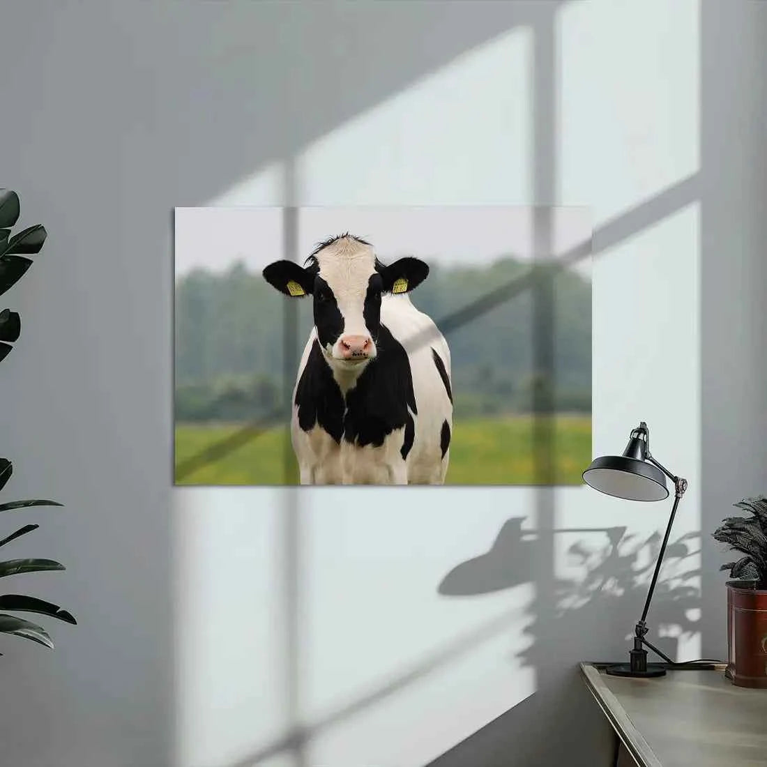 Poster métallique - Vache Prim'Holstein