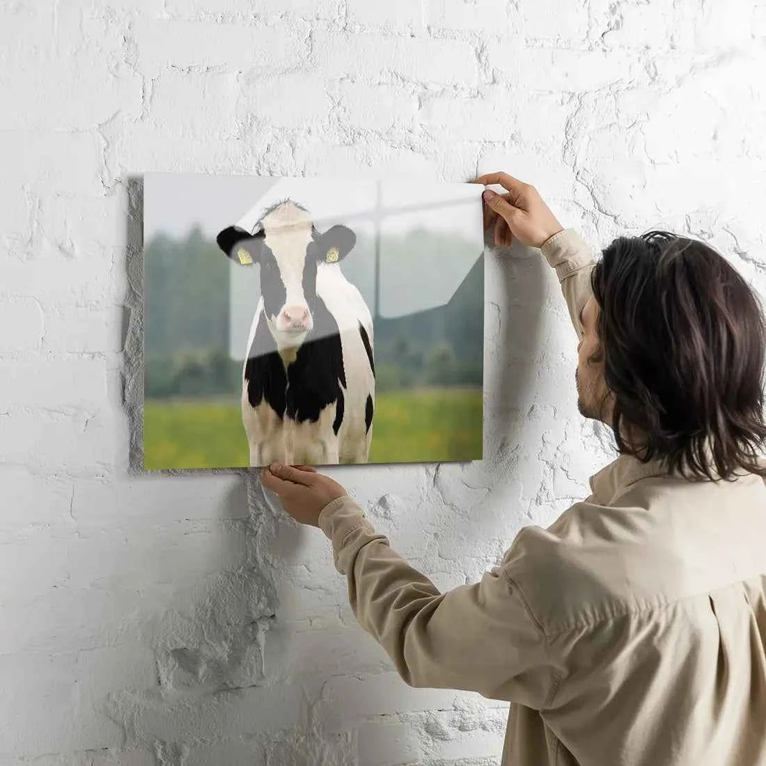 Poster métallique - Vache Prim'Holstein