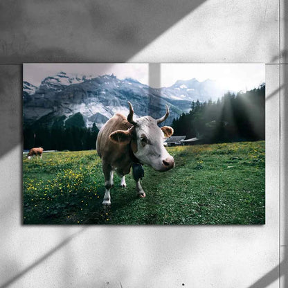 Poster métallique - Vache Simmental