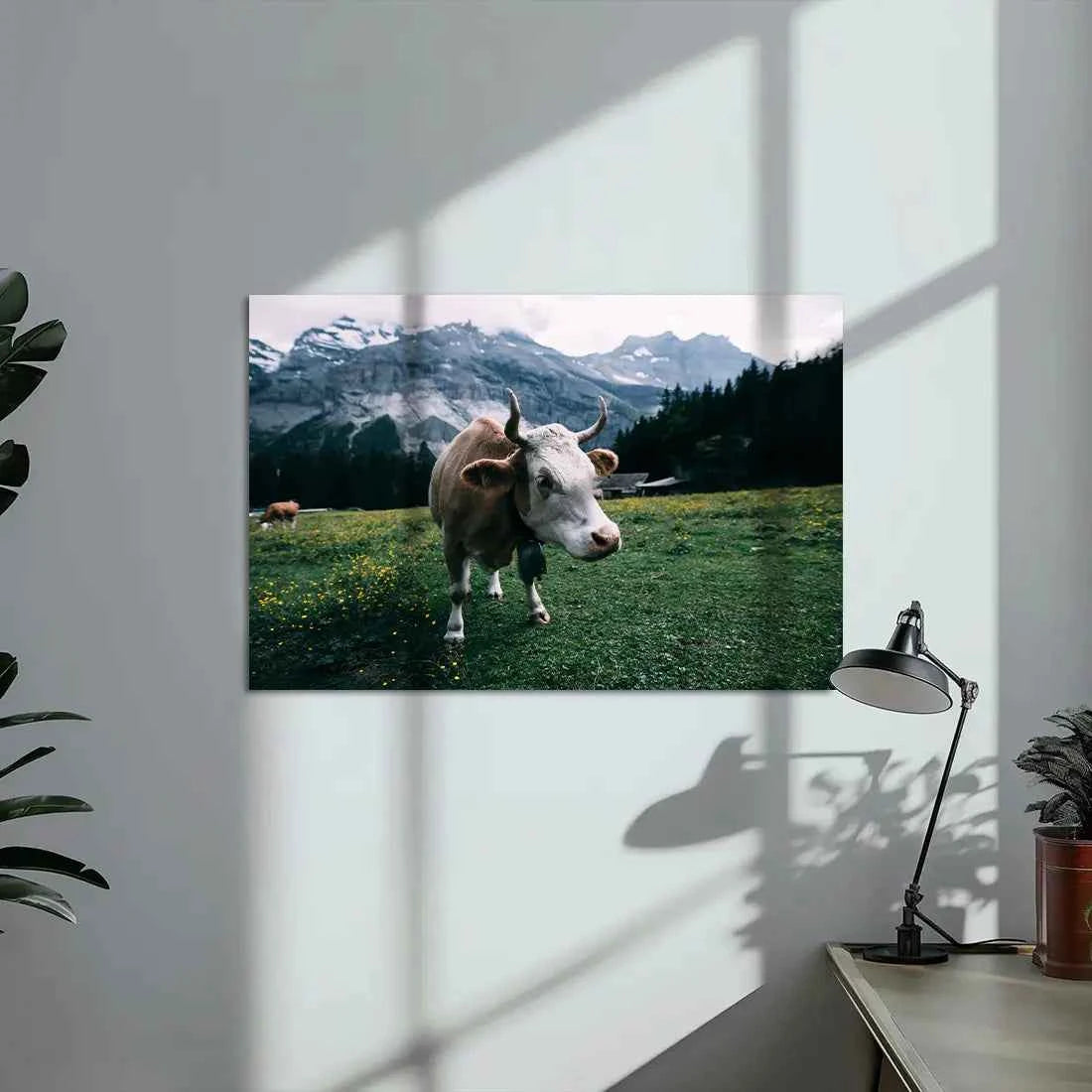 Poster métallique - Vache Simmental