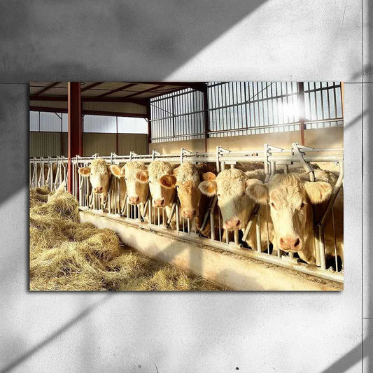 Poster Métallique de @val070911